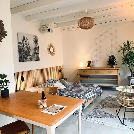 Gite Mozart - Rez De Jardin Кольмар