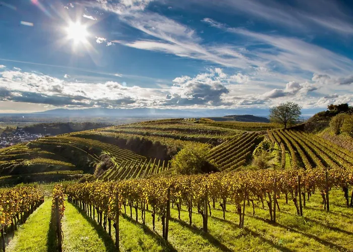 Mozart - Rez De Jardin Dom wakacyjny *